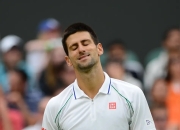  德约科维奇身价多少亿 