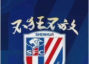 天津泰达不敌上海绿地申花，主场连败难堪