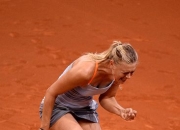 锦标赛巅峰对决！李娜能否带领球队夺冠？的简单介绍