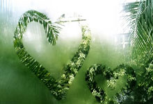 包含西珲联赛的历史战绩与当下形势有何联系？的词条